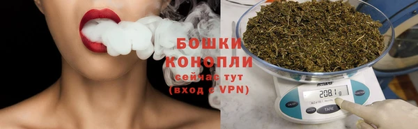 дмт Богданович