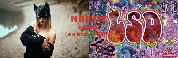 дмт Богданович