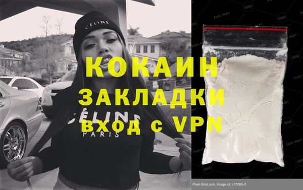 дмт Богданович