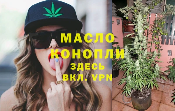 дмт Богданович
